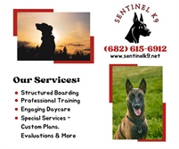 Sentinel K9
